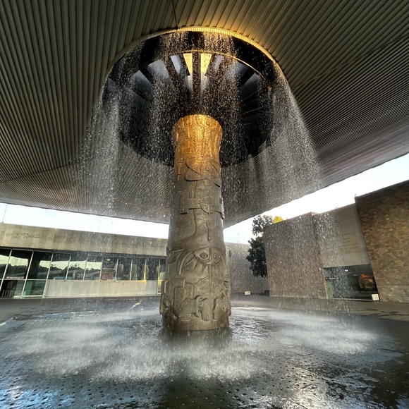 Welcome Posheroos! - Picture 5 of 7